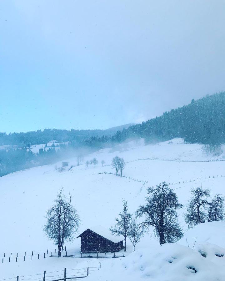 Bio Schartenhof Sankt Johann im Pongau Exteriör bild