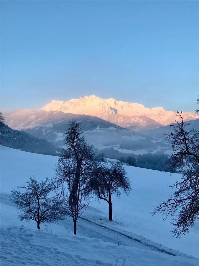 Bio Schartenhof Sankt Johann im Pongau Exteriör bild